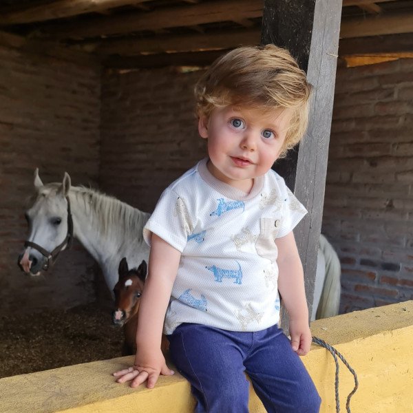 CAMISETA DISEÑO PERRITOS