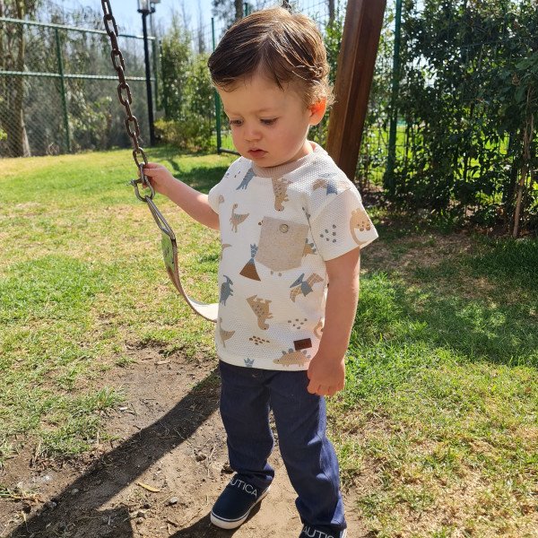 CAMISETA DISEÑO DINOSAURIOS CAMISETA DISEÑO DINOSAURIOS