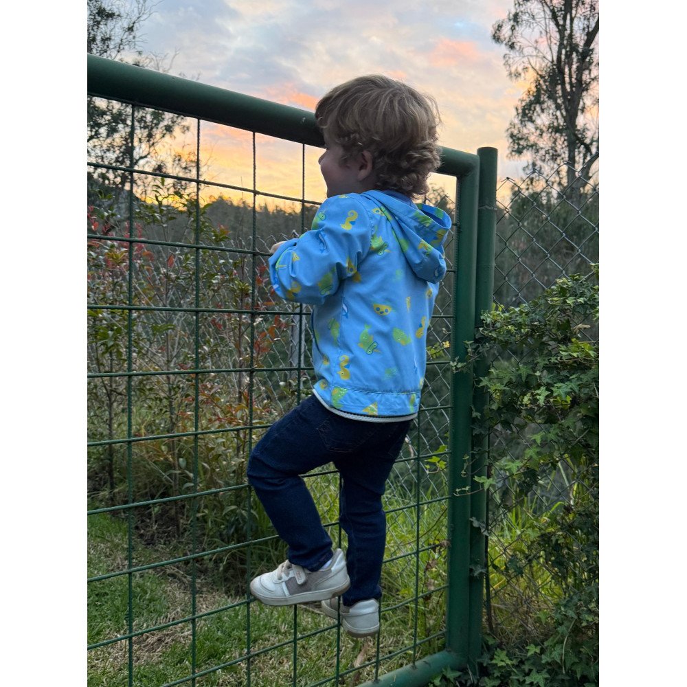 CHOMPA VIENTO TIBURONES