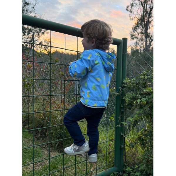 CHOMPA VIENTO TIBURONES