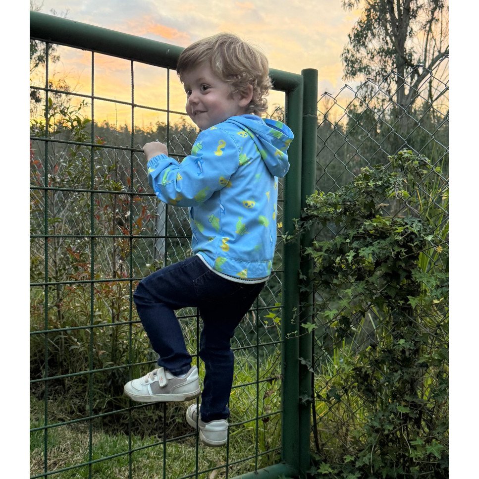 CHOMPA VIENTO TIBURONES