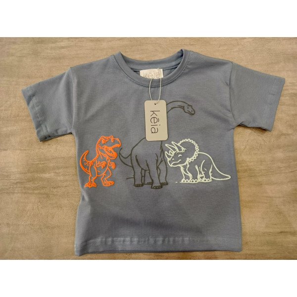 CAMISETA DISEÑO DINOSAURIOS CAMISETA DISEÑO DINOSAURIOS